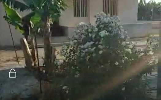 عقار منطقة ابو الاسود مساحة العقار 23300 متر زراعة موز يضم بيت وبئر مياه وشبكة ري س